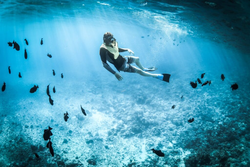 Certificado medico para buceo en valladolid