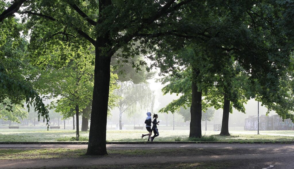 Reconocimientos deportivos médicos en Valladolid 1 jogging 4211946 1280